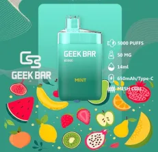 Geek Bar B5000 Rechargeable Disposable 5% Dubai, UAE Mint