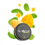 Buy X- Bar Nicotine Pouches 18MG In Dubai at Gen Vape Dubai.
