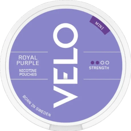 VELO GROOVY GRAPE MINI (ROYAL PURPLE MINI)