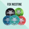 White Fox Nicotine Pouches Image Gen Vape Dubai
